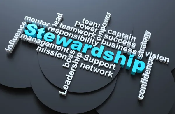 Why Stewardship is the Leadership Style TA Needs Now
